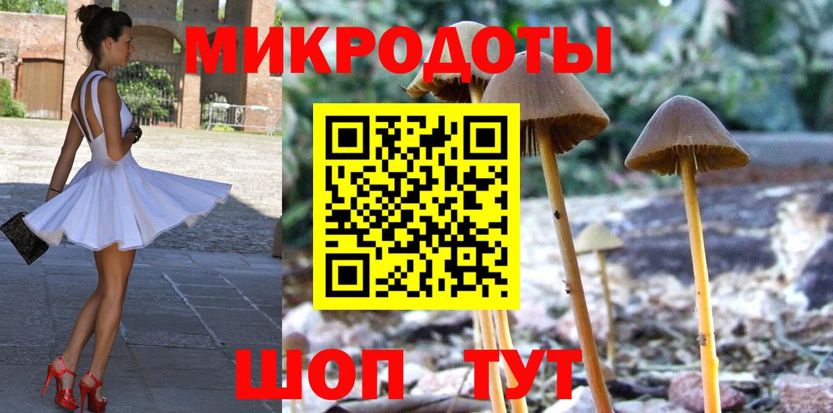 Галлюциногенные грибы прущие грибы Владивосток
