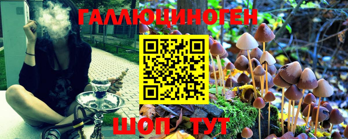 Галлюциногенные грибы Psilocybine cubensis  Псилоцибиновые грибы мицелий  Вход с VPN  Владивосток 